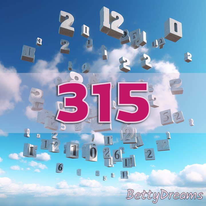 315 meaning