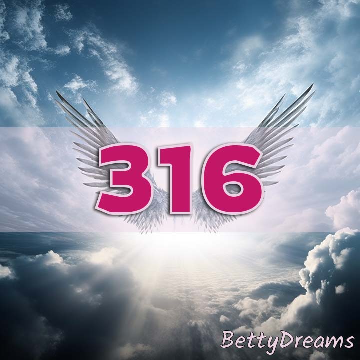 316 in Numerology