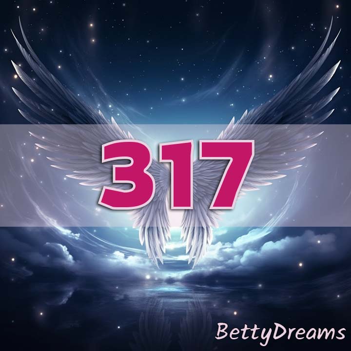 317 Angel Number Twin Flame