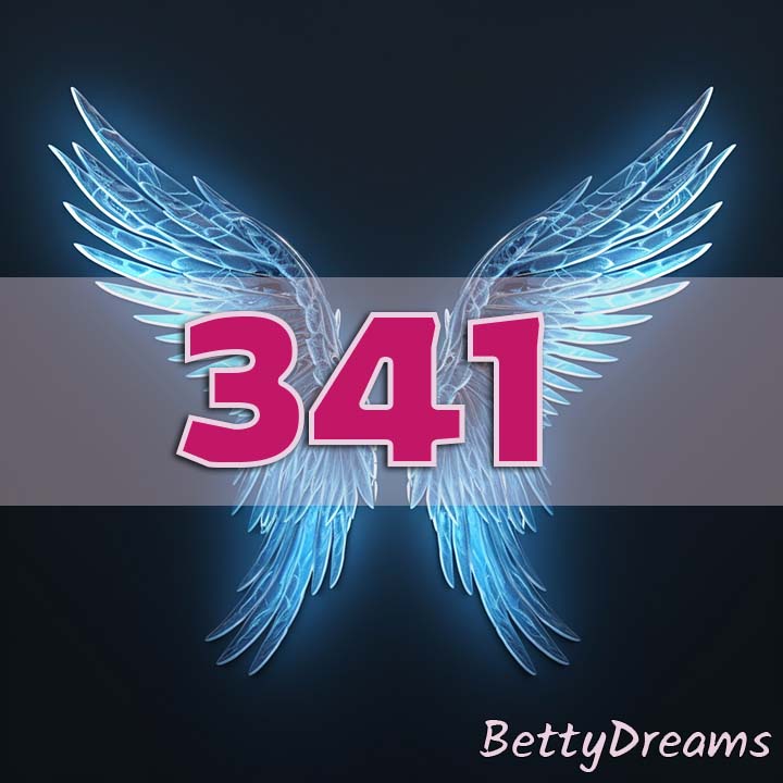 341 in Numerology
