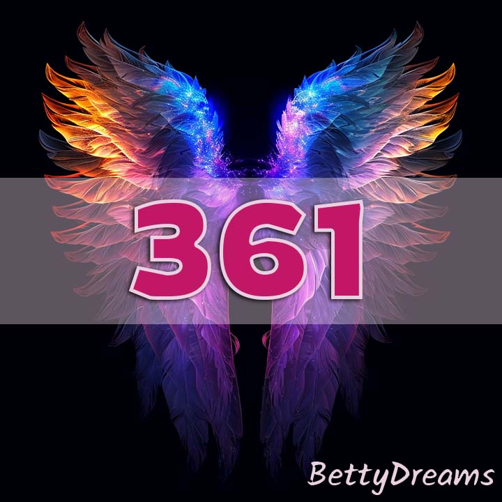 361 in Numerology