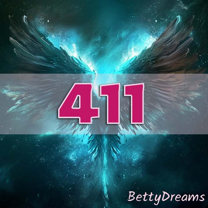 411 angel number
