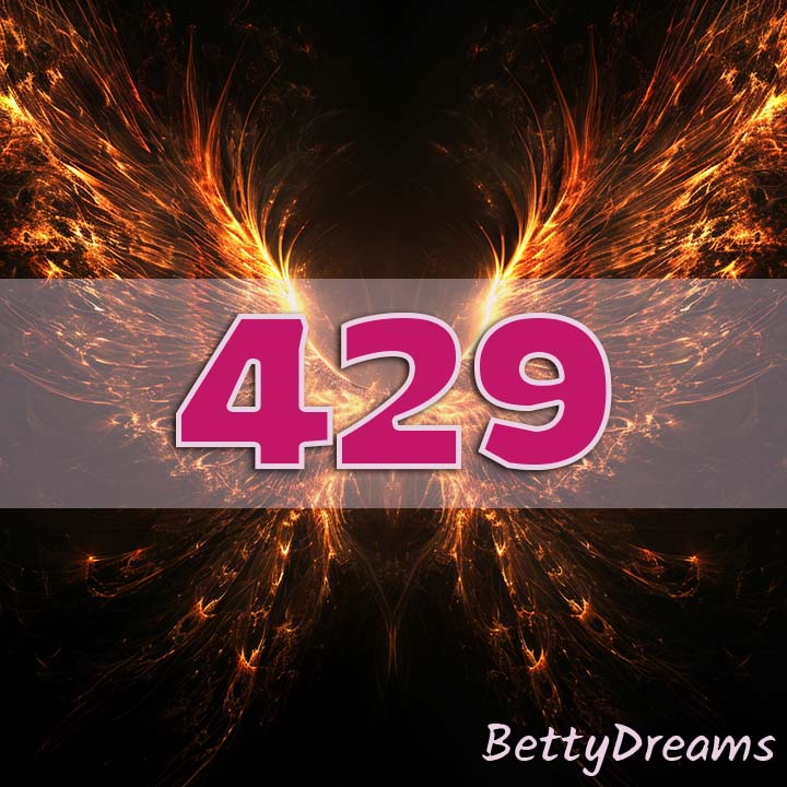429 in Numerology