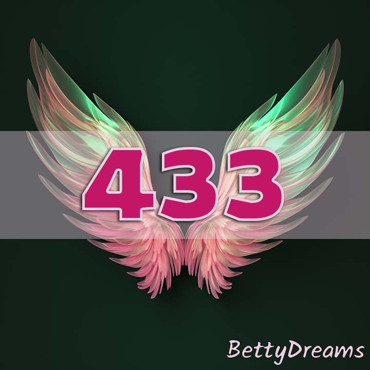 433 Angel Number Twin Flame