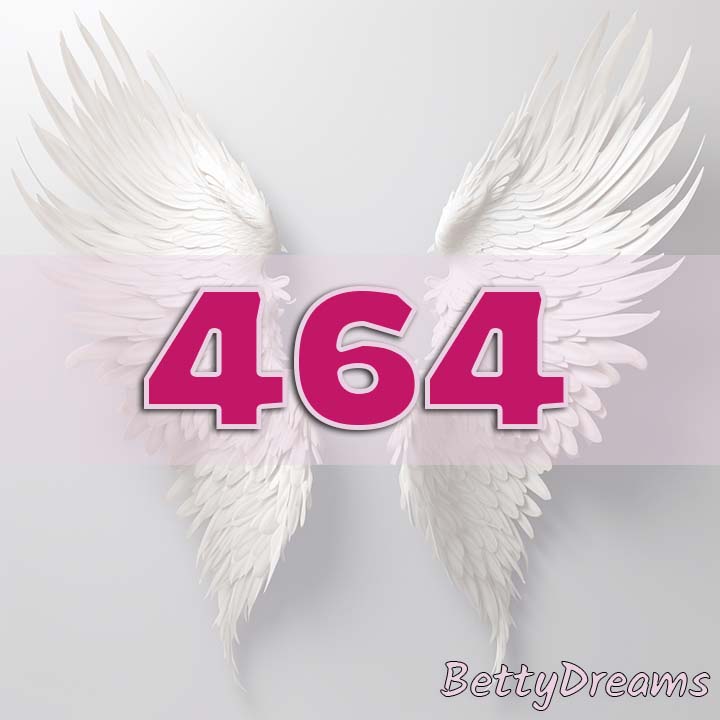 464 in Numerology
