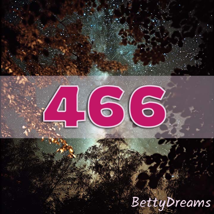 466 in Numerology