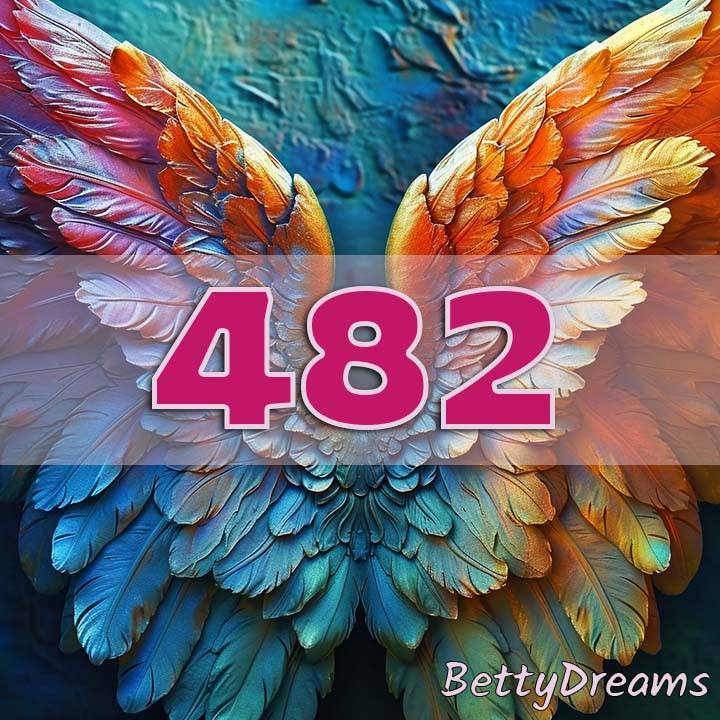 482 in Numerology