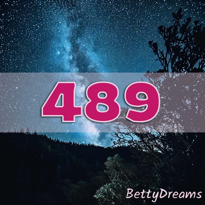 489 Angel Number Twin Flame