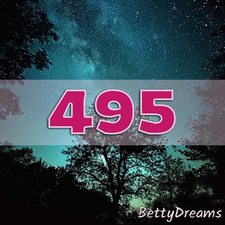 495 Angel Number Twin Flame