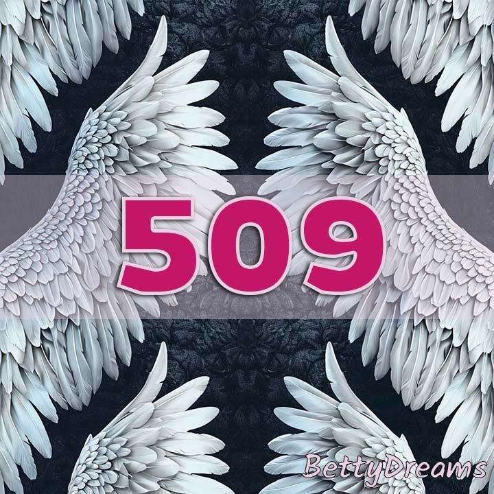 509 in Numerology