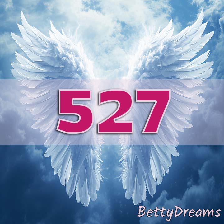 527 Angel Number Twin Flame