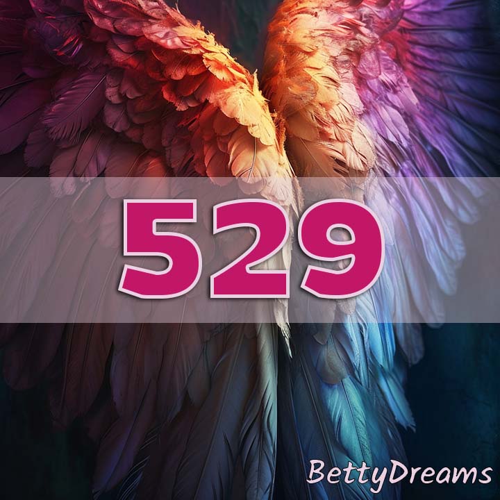529 in Numerology