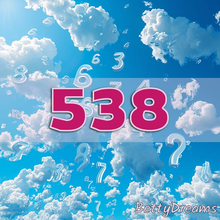 538 Angel Number Twin Flame