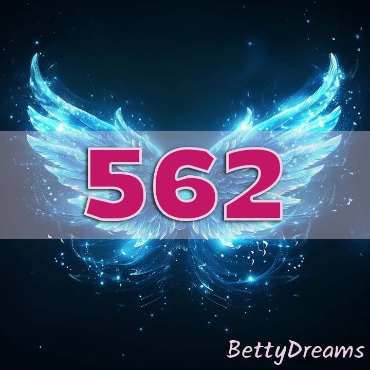 562 Angel Number Twin Flame