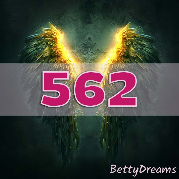 562 in Numerology