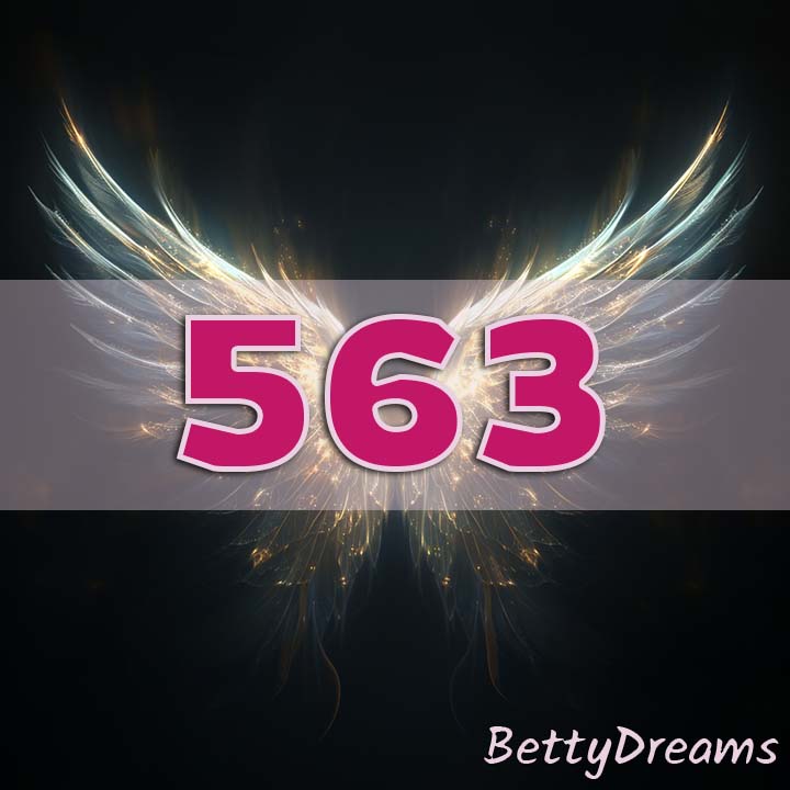 563 in Numerology