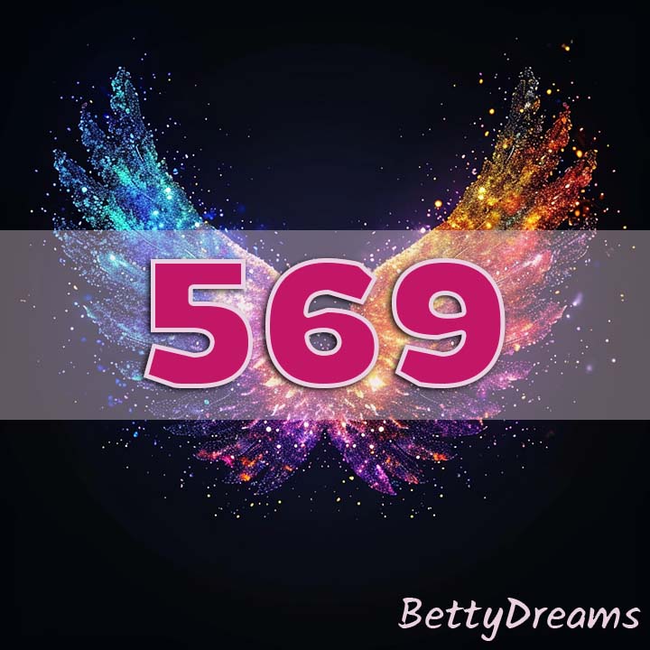 569 in Numerology