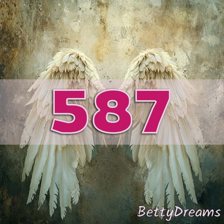 587 in Numerology