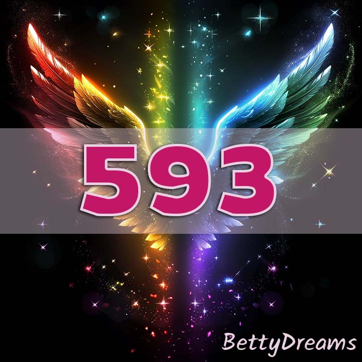 593 in Numerology