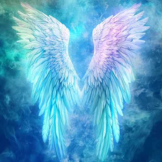 629 angel number