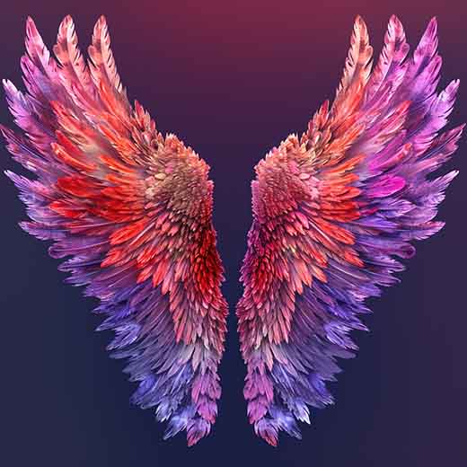 697 angel number