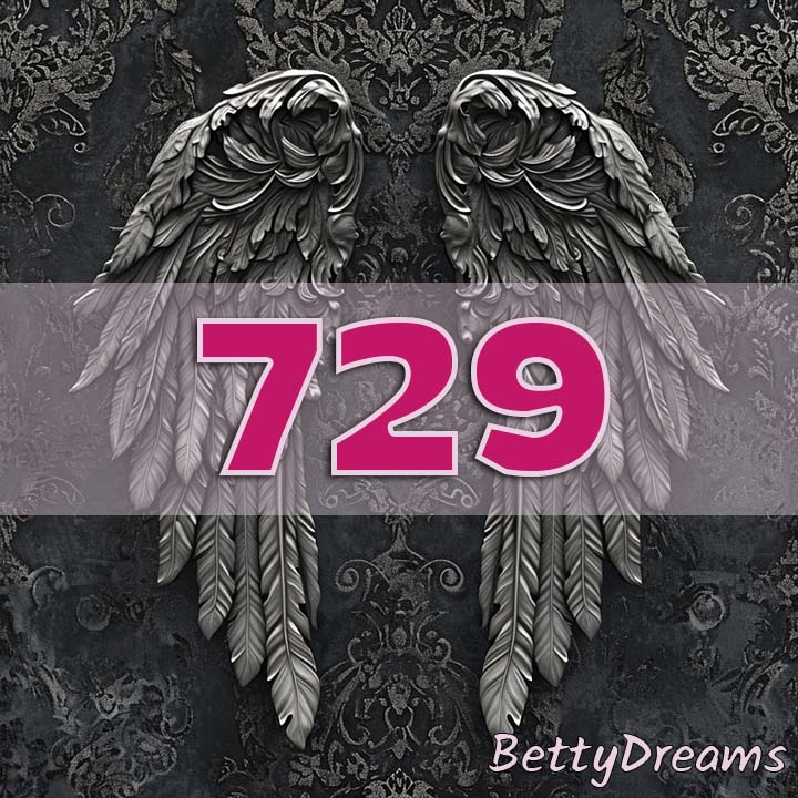 729 in Numerology