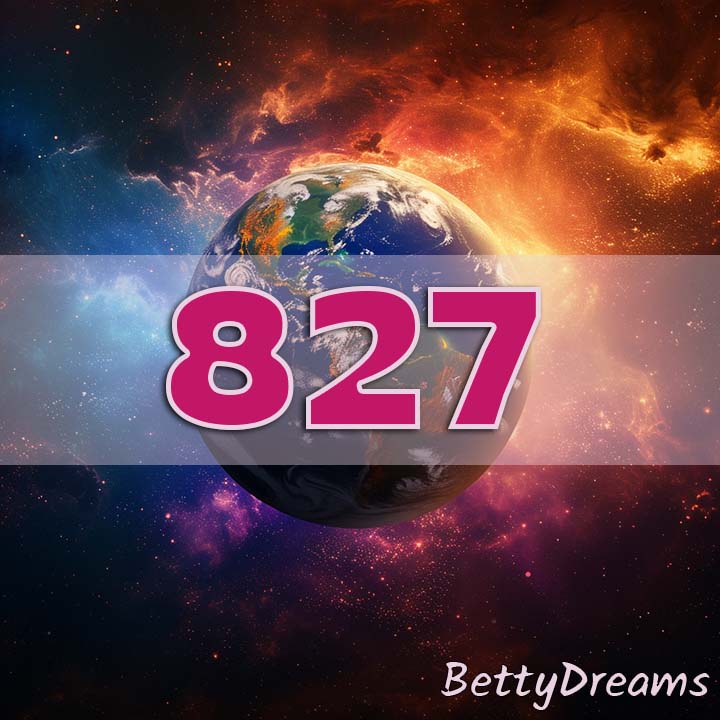 827 Angel Number Twin Flame