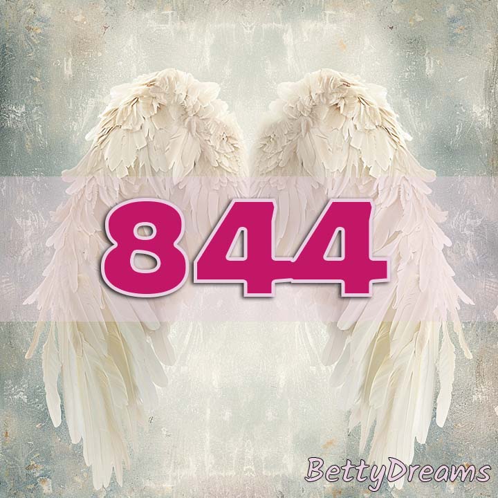 844 Angel Number Twin Flame
