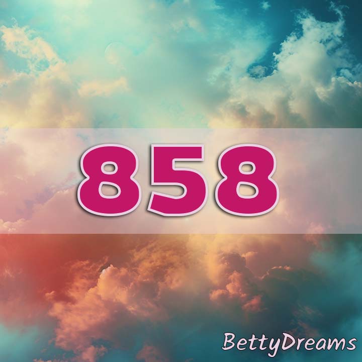 858 Angel Number Twin Flame