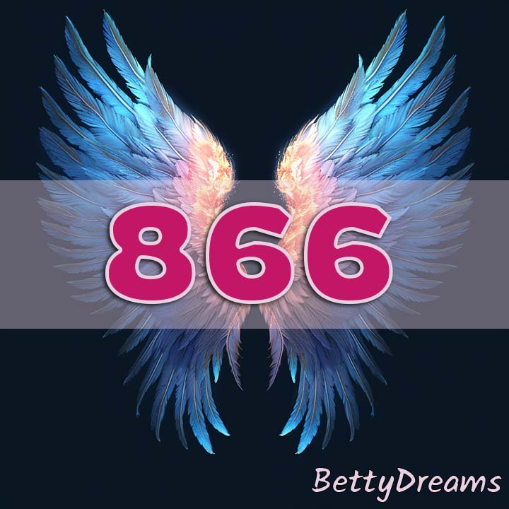 866 in Numerology