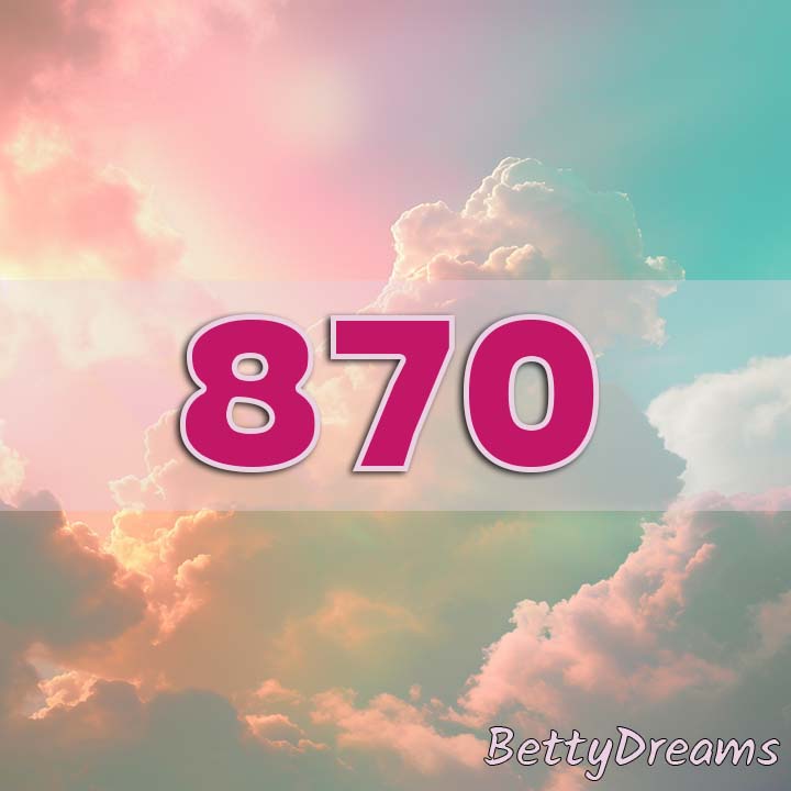 870 Angel Number Twin Flame
