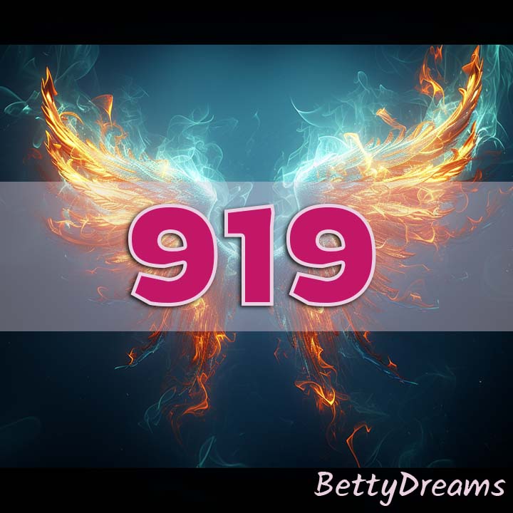 919 Angel Number Twin Flame