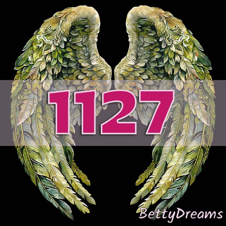 Angel Number 1127 Manifestation