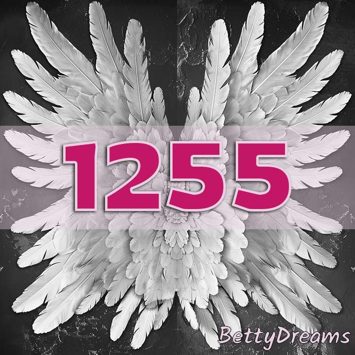 Angel Number 1255 Manifestation