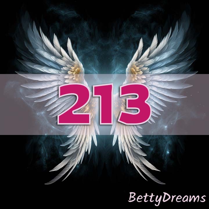 Angel Number 213 Decision Making and Choices