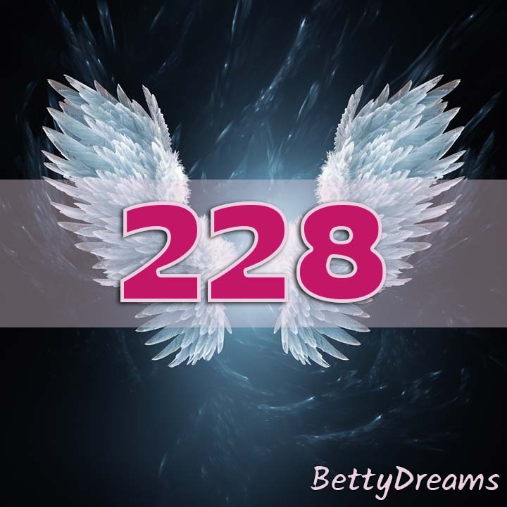 Angel Number 228 Manifestation