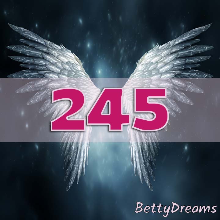Angel Number 245 Social Connections