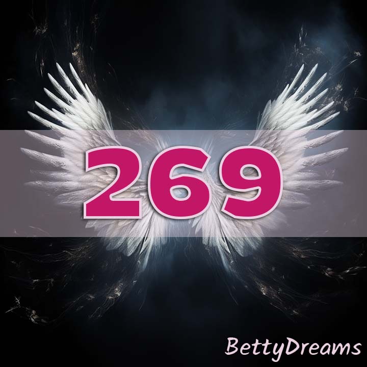 Angel Number 269 Love & Relationships