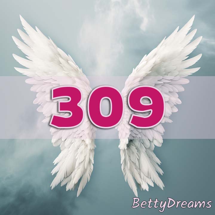 Angel Number 309 Intuition