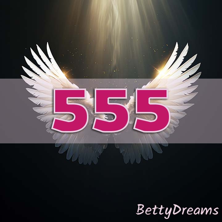Angel Number 555 Manifestation