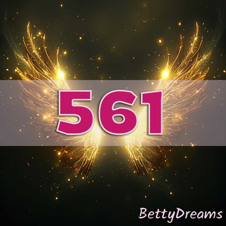 561 Angel Number: Surprising & Powerful Meanings | BettyDreams