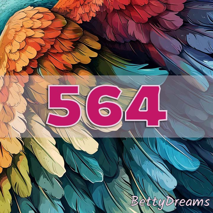 Angel Number 564 Manifestation