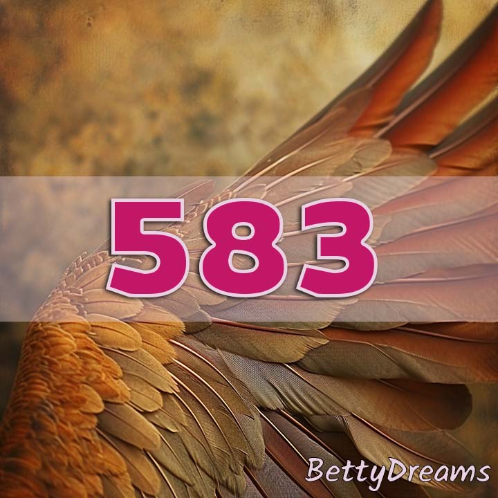 Angel Number 583 Manifestation