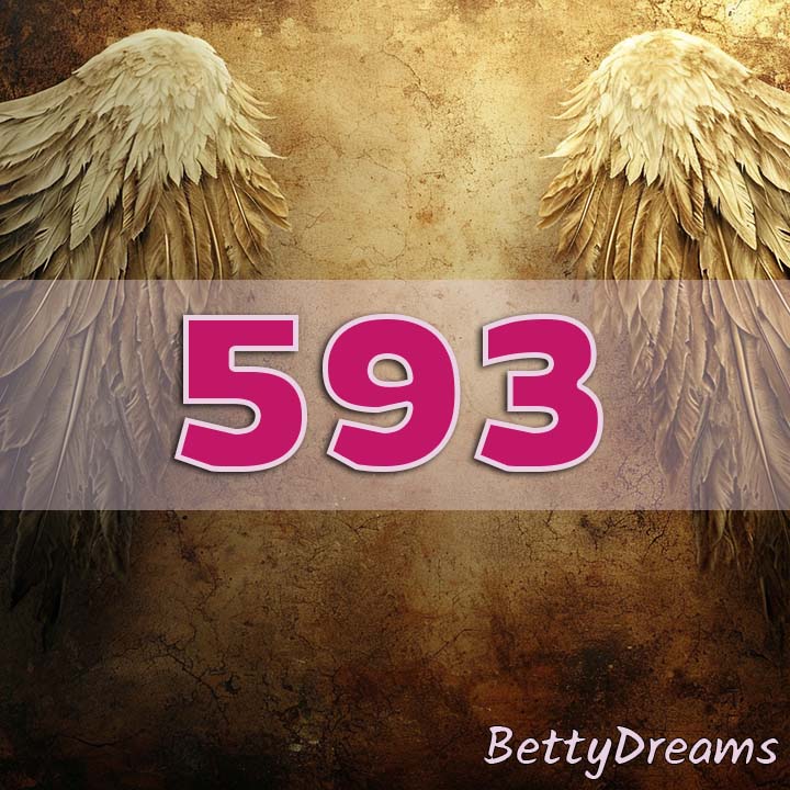 Angel Number 593 Manifestation