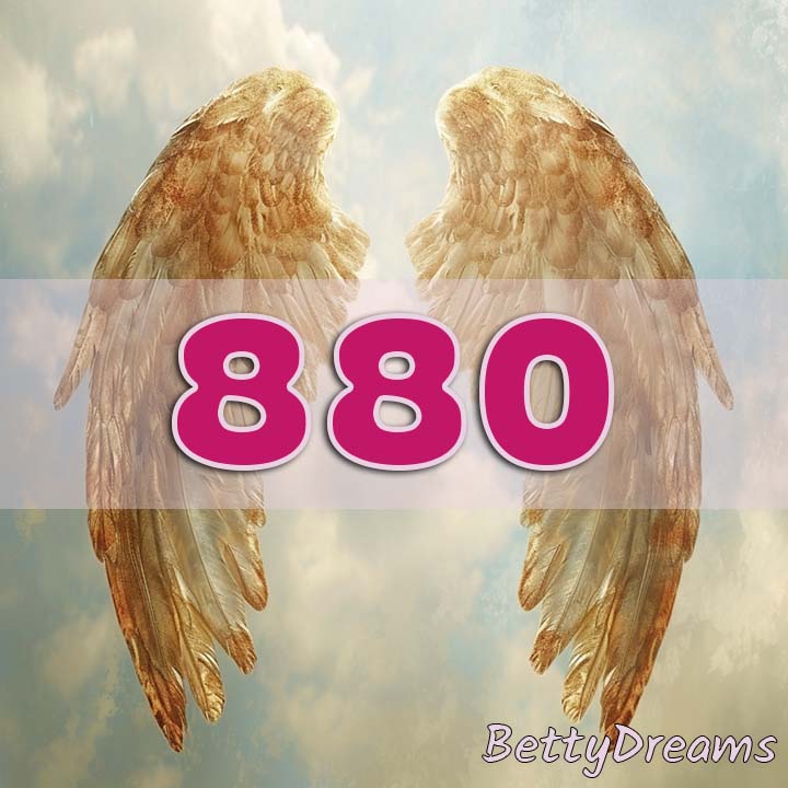 Angel Number 880 Manifestation