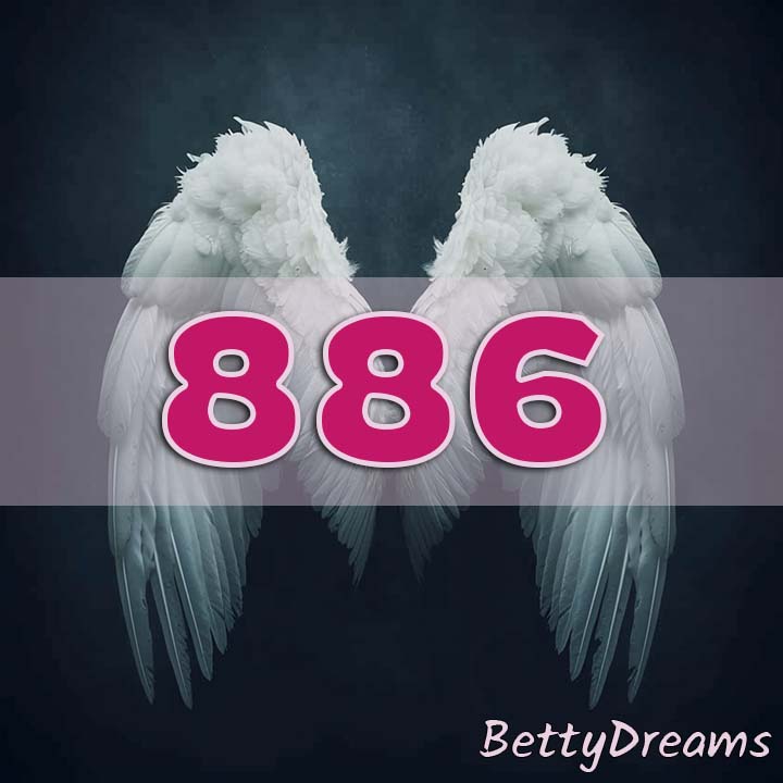 Angel Number 886 Manifestation