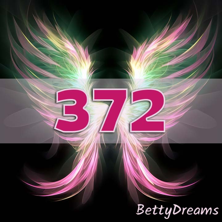 Career and Professional Growth 372