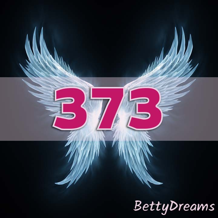 373 angel number