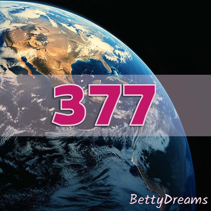Career and Professional Growth 377