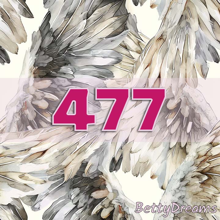 angel number